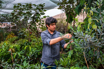 working in the greenhouse