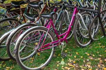 Bicycle parking on the grass with yellow leaves close-up.