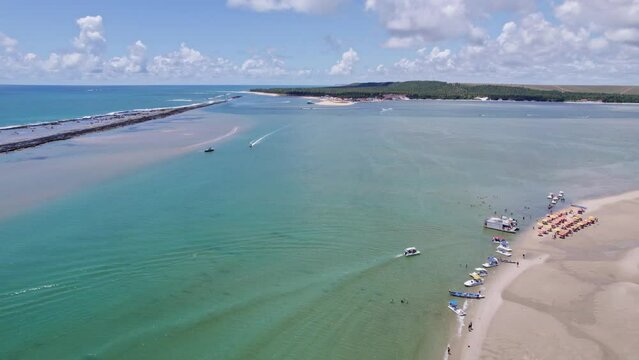 Aerial view of Gunga Beach or "Praia do Gunga", with its clear waters and coconut trees, Maceio, Alagoas. Northeast region of Brazil. 4K
