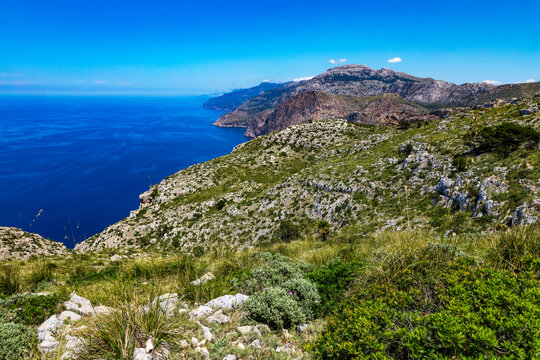 Steep coast near Banyalbufar of Mallorca, Span