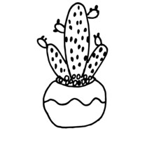 Hand drawn cute cactus in a pot used as an element and decoration4