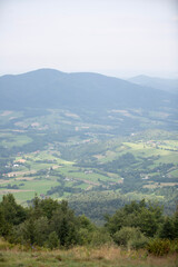 Naklejka premium landscape with fog