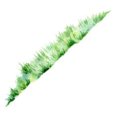 Watercolor grass, green grass, green lawn