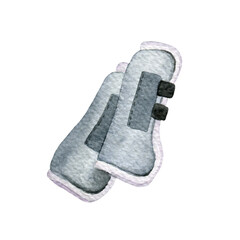 Watercolor equestrian equipment, horse care, horse riding sports