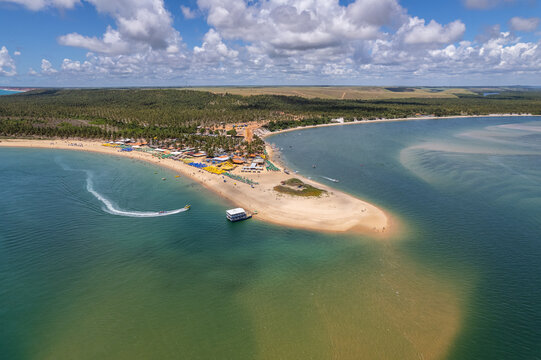 Aerial view of Gunga Beach or "Praia do Gunga", with its clear waters and coconut trees, Maceio, Alagoas. Northeast region of Brazil.