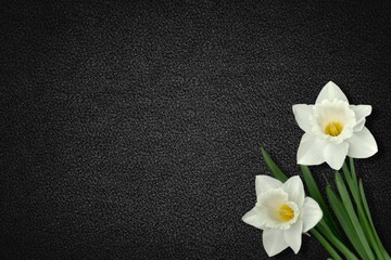 Obraz na płótnie Canvas Bright fresh flowers on dark table background. Condolence card.