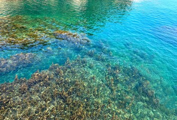 Naklejka na ściany i meble Turquoise sea water glittering surface. Beautiful emerald green watercolor. Shiny clear ocean water.
