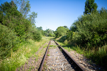 Fototapeta premium railway in the forest