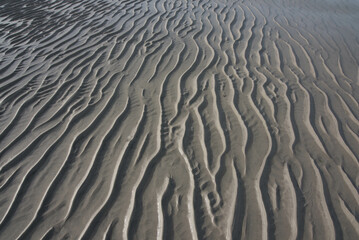 sand ripples in the sand