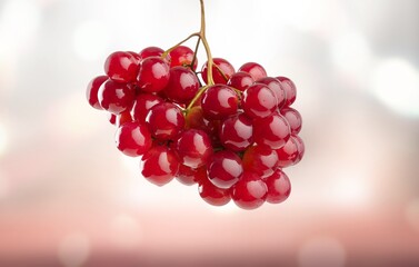 Red grape cluster with green leaves on a background.