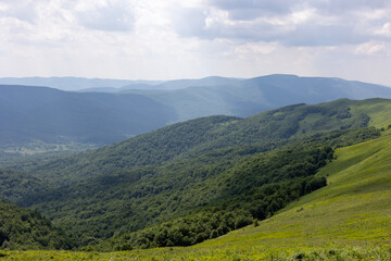 Fototapeta premium landscape in summer