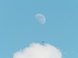Flying red kite with blue sky and half moon background, focused on the kite.