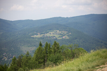 Fototapeta premium landscape with fog