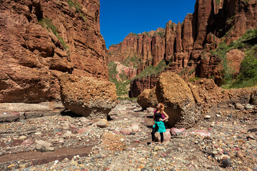 A tourist looks at the Canyon de Palca near La Paz, Bolivia.
