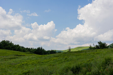 field and sky
