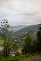 landscape with trees