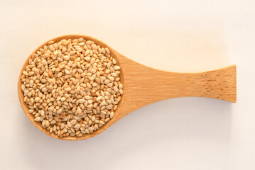 Toasted Sesame Seeds on a Spoon