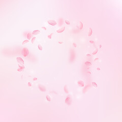 Sakura petals falling down. Romantic pink flowers frame. Flying petals on pink square background. Love, romance concept. Popular wedding invitation.