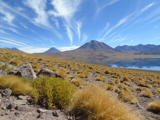Atacama Desert, Chile. Altiplano, mountains, lake and wild nature.