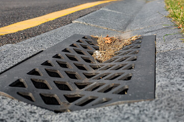 stone grate with holes for drainage of storm water from a concrete ditch on the side of an asphalt...