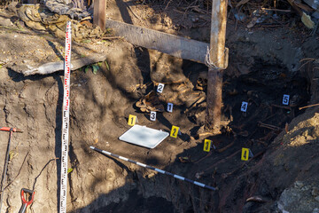 Human remains in the ground. Archaeological excavations of skulls and bones with forensic attributes for examination