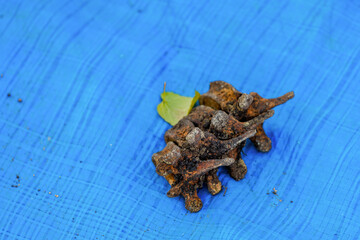 Human remains on blue burlap. Archaeological excavations of forensic bones for examination. Background