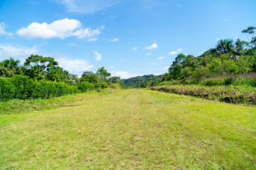 Fototapeta na wymiar Landing strip in the Amazon Region of Ecuador