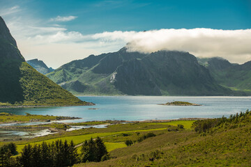Norwegian Lofoten Archipelago Summer Landscape