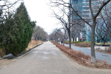 Obraz premium 공원 길