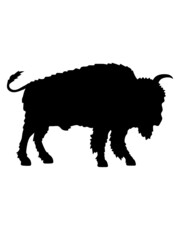 Großes Bison Silhouette 