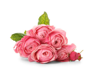 Bouquet of beautiful rose flowers on white background