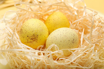 Naklejka na ściany i meble Nest with yellow Easter eggs, closeup