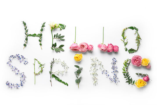 Text HELLO SPRING made of different flowers and leaves on white background