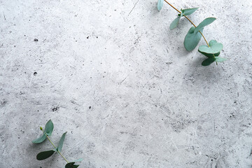 Eucalyptus branches on a rough stone surface top view. Wediing invitation card mockup.