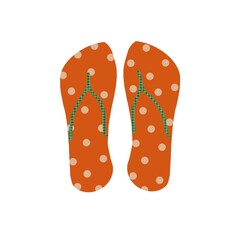 flip flops isolated on white background