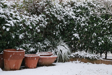 雪と植物庭植え花壇鉢植えの積雪降雪越冬寒冷地のガーデニングイメージ素材