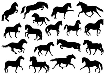 moving horses silhouette bundle © Ayumi Onishi