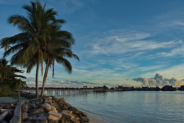 Malaysia. The East coast of the island of Borneo. Palm grove on the seashore of the coral island of Mabul, famous for its diving clubs.
