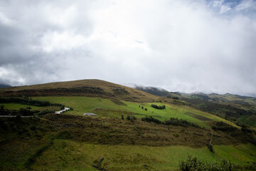Fototapeta premium Pastizales Muyoc