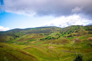 Fototapeta premium Pastizales en San Marcos