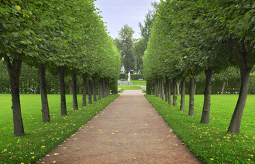 Alley in the Catherine Park in Pushkin