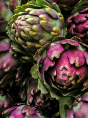 Obraz premium Globe artichoke, Cynara cardunculus scolymus pattern in Brazil