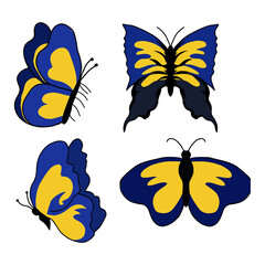 Simple Butterfly animal design hand drawn . Hand drawing adorable cute butterfly animal species Morpho didius. vector illustration