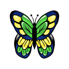 Simple Butterfly animal design hand drawn . Hand drawing adorable cute butterfly animal species Morpho didius. vector illustration