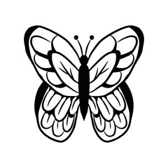 Simple Butterfly animal design hand drawn . Hand drawing adorable cute butterfly animal species Morpho didius. vector illustration