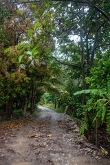 Valle Llanguat Celendín