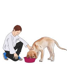  Girl plays with a dog, and feeds her from bowl. Set of children with dog. Caring for four-footed friend puppy, concern for the health, appearance.  - obrazy, fototapety, plakaty
