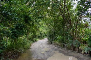 Fototapeta na wymiar Valle de Llanguat