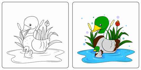 Hand drawn wild duck coloring pages premium vector