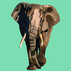 Elephant illustration vector